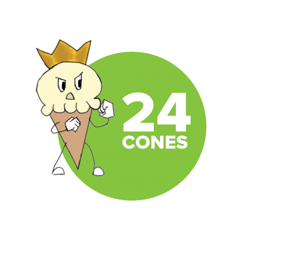 24 Cones